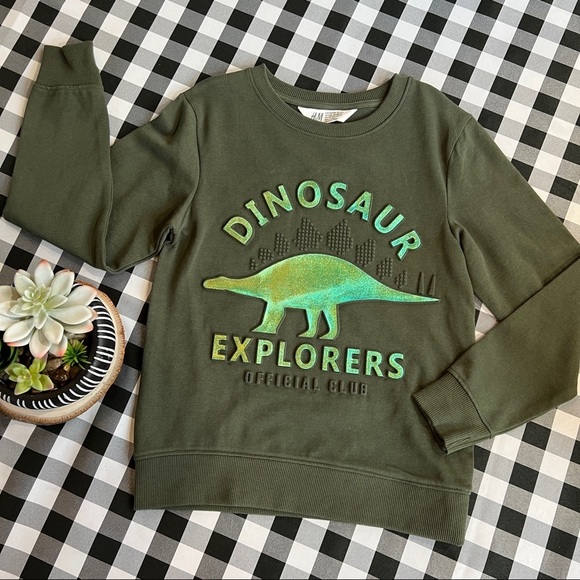 H&M dinosaur embossed green metallic sweatshirt - Picture 1 of 5